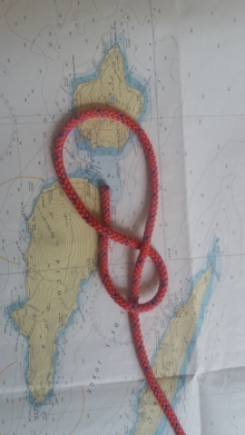 PĘTLA WIOŚLARSKA cz.2 foto: Aleksandra Szułczyńska