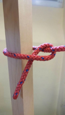 Półsztyk foto: Aleksandra Szułczyńska