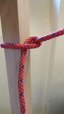 Półsztyk foto: Aleksandra Szułczyńska